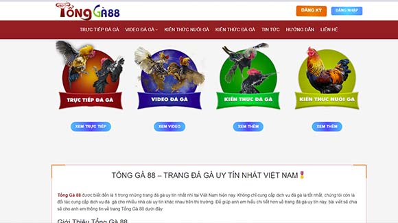 Về chúng tôi nhà cái cung cấp nhiều game cá cược thú vị