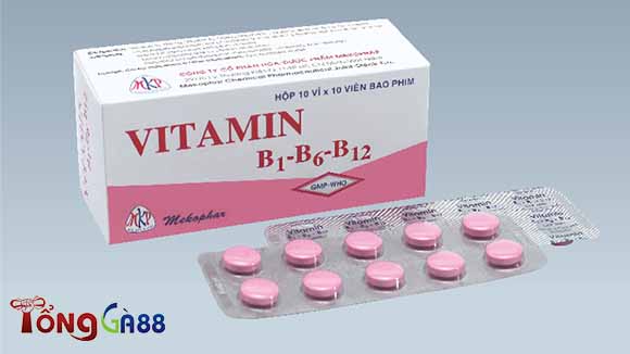 Vitamin bổ sung nuôi gà đá