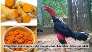 Giã nhỏ các nguyên liệu làm rượu nghệ cho gà chọi