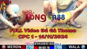 cpc1-14-11-2024