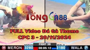 cpc3-20-11-2024