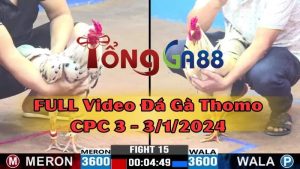 cpc3-3112024